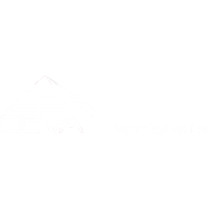 CEVA logo wit